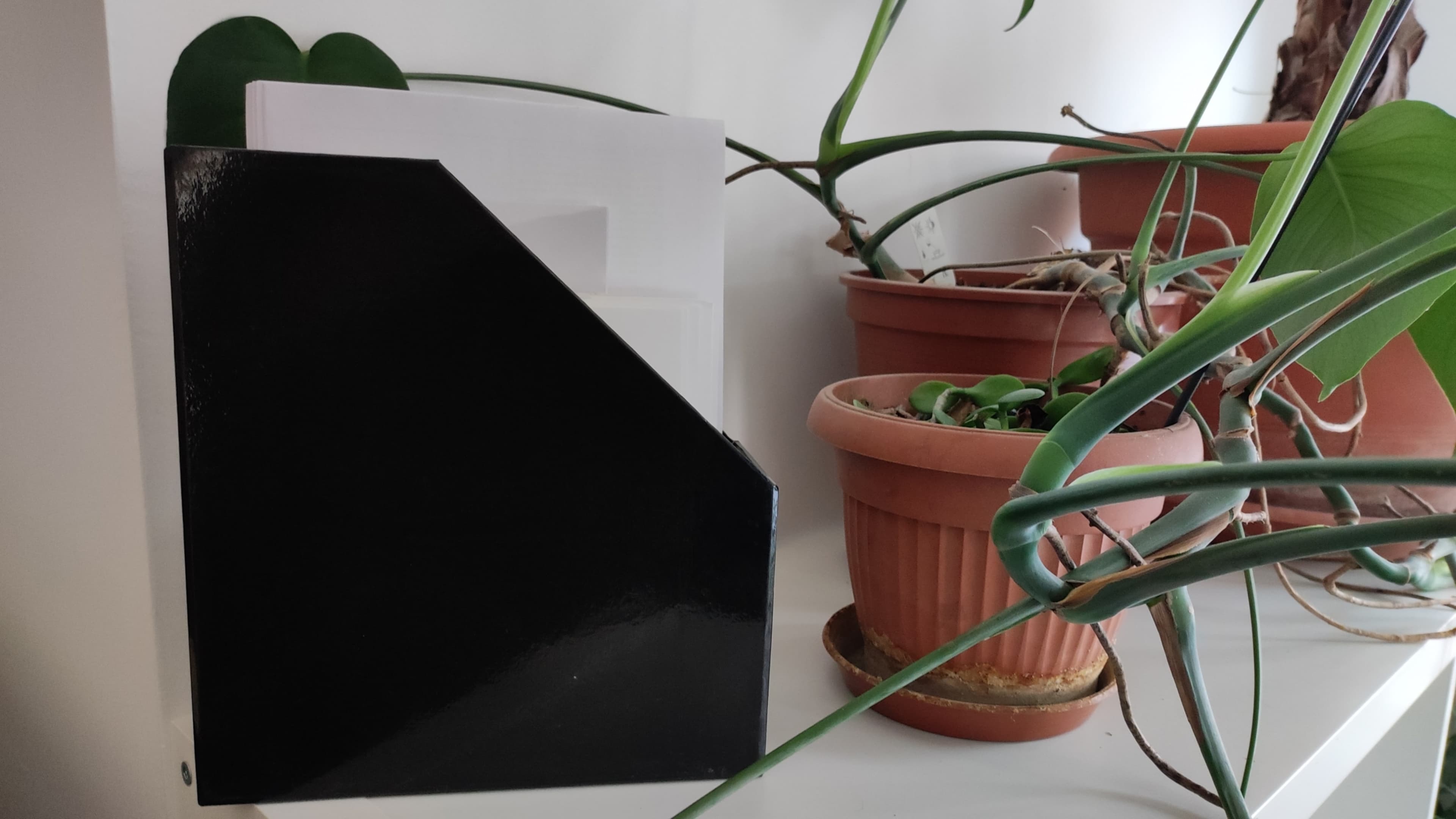 Akadálymentesitési Nyilatkozat